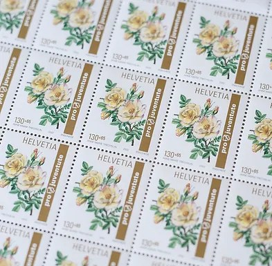 Vintage paper items and rare postal stamps arranged closely